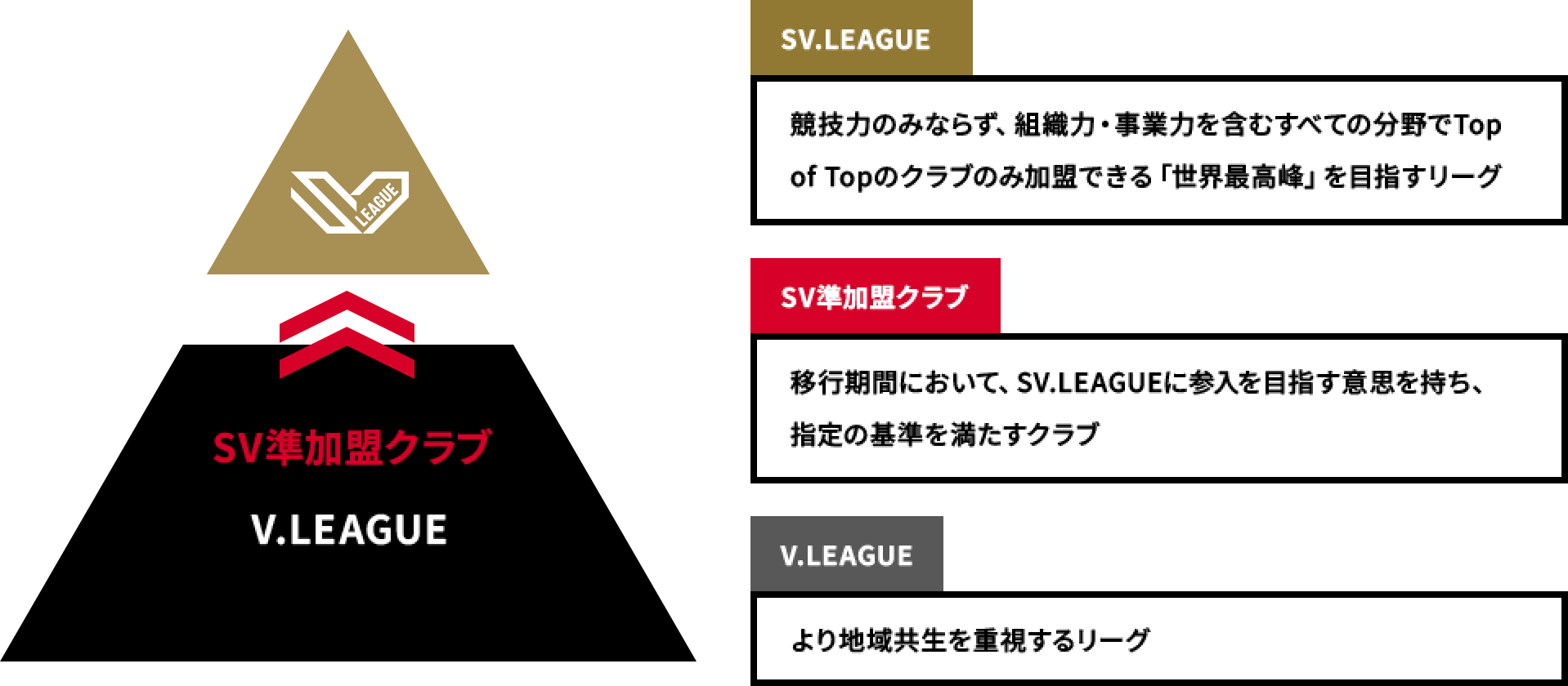 SV.LEAGUE概要図