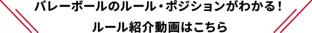 バレーボールのルール・ポジションがわかる！ルール紹介はこちら！