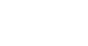 SV.LEAGUE