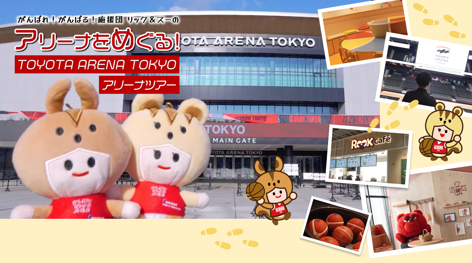 アリーナをめぐる